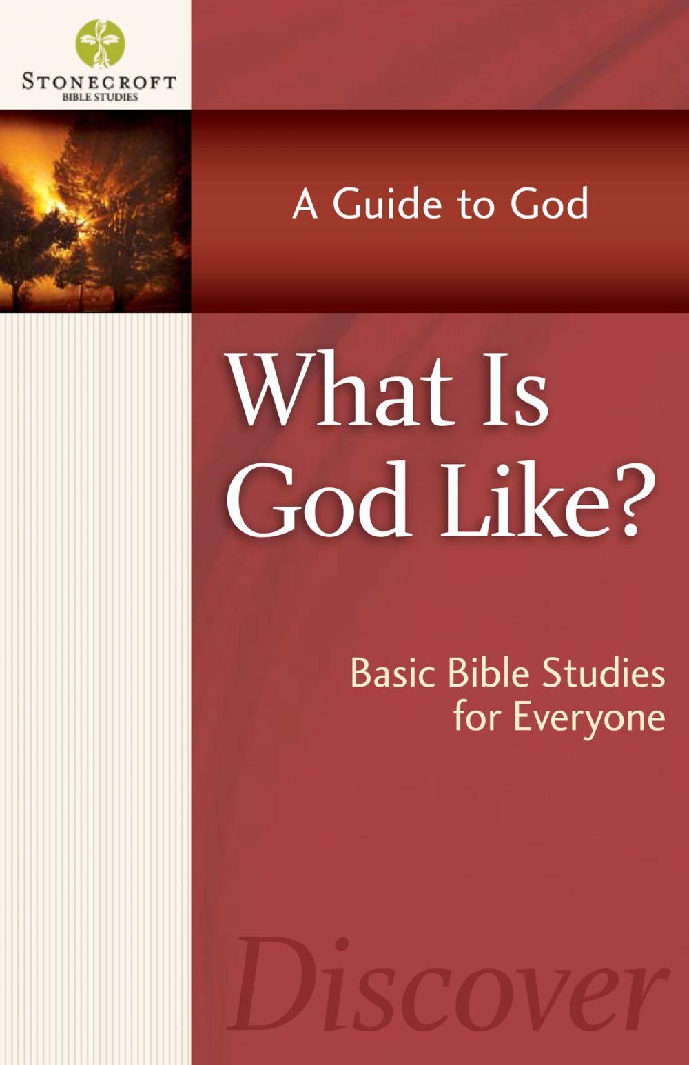 Big bigCover of What is God Like?