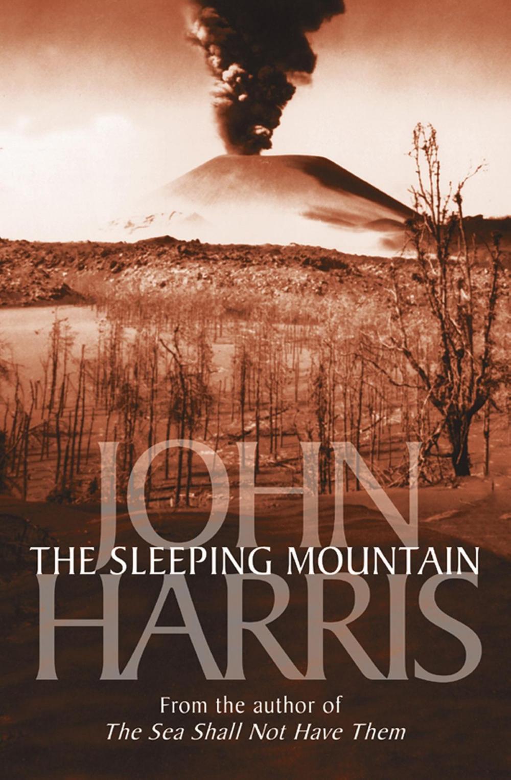 Big bigCover of The Sleeping Mountain