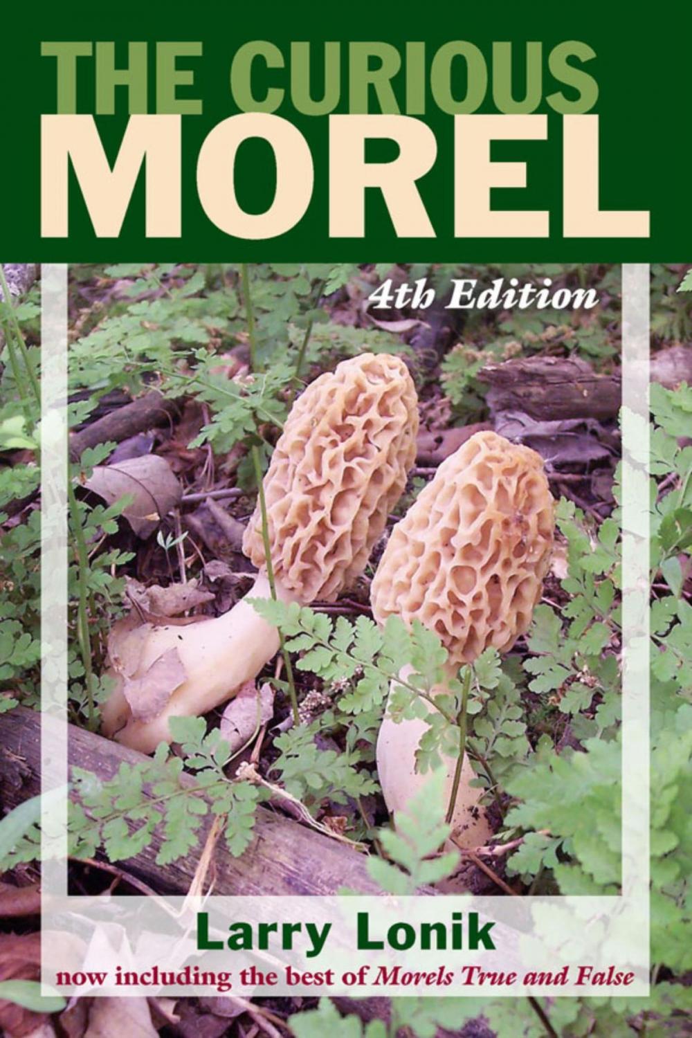 Big bigCover of The Curious Morel