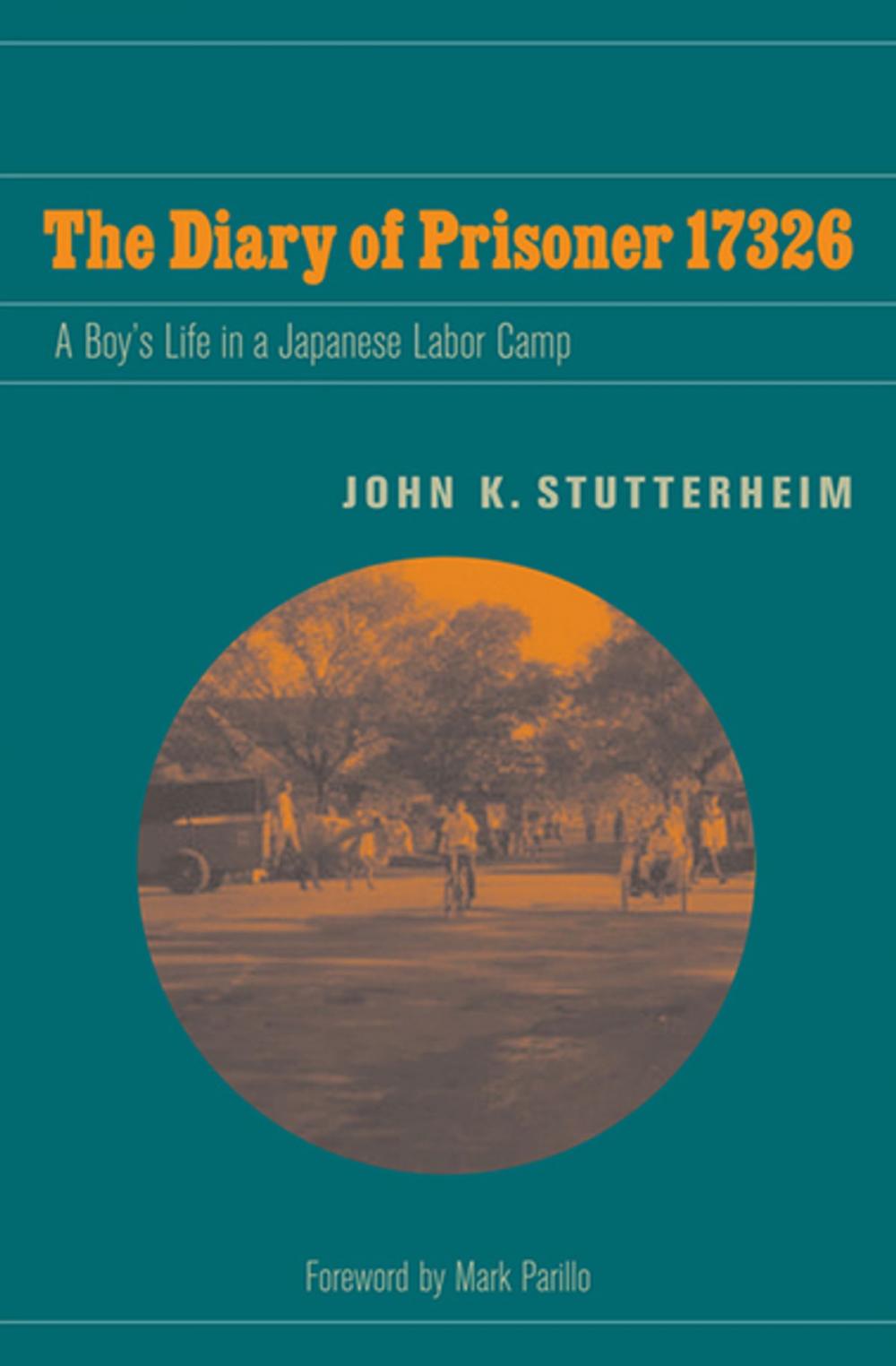 Big bigCover of The Diary of Prisoner 17326