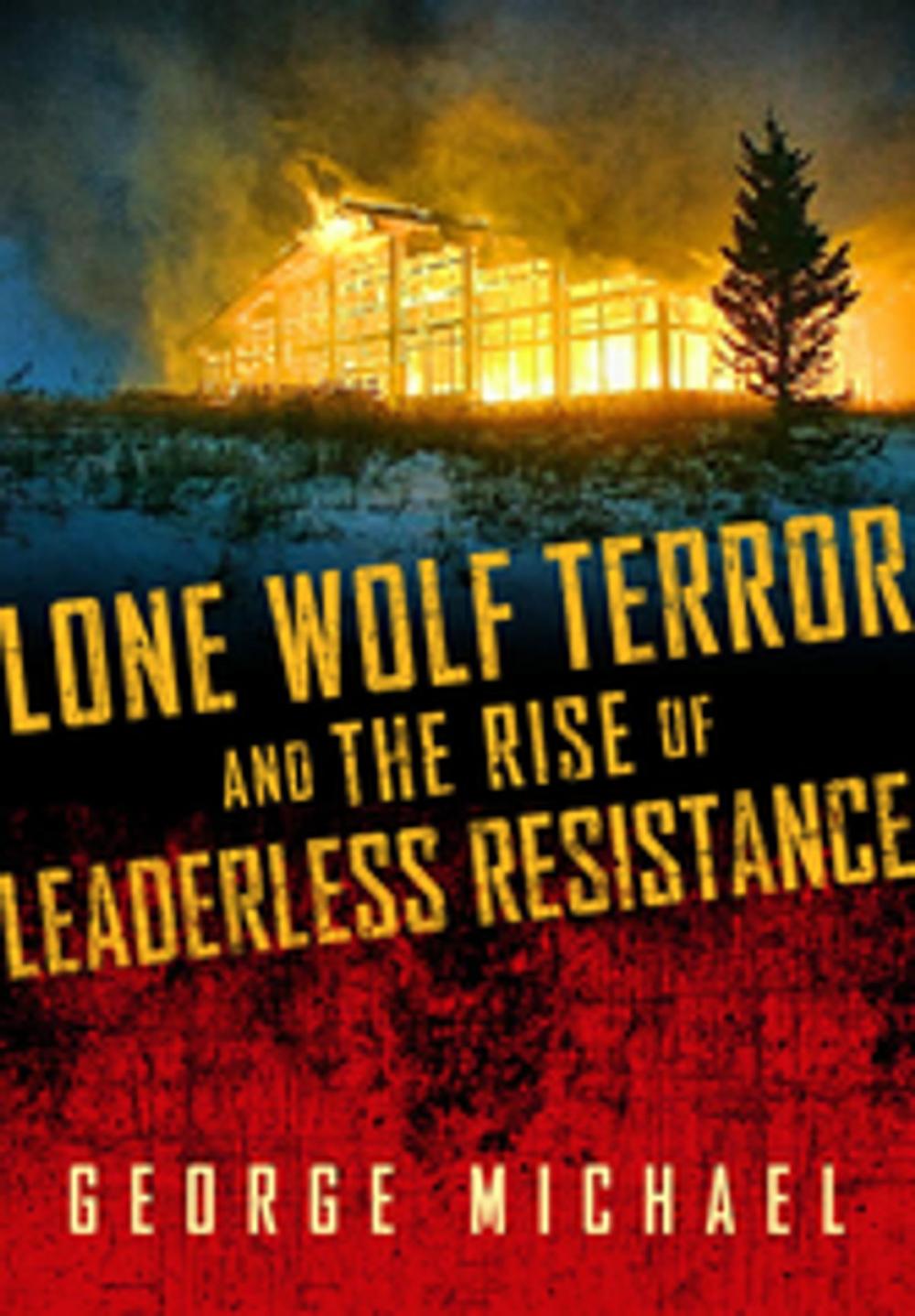 Big bigCover of Lone Wolf Terror and the Rise of Leaderless Resistance