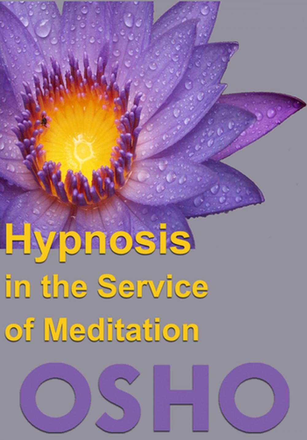 Big bigCover of Hypnosis in the Service of Meditation