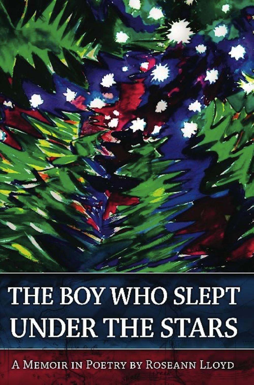 Big bigCover of The Boy Who Slept Under the Stars