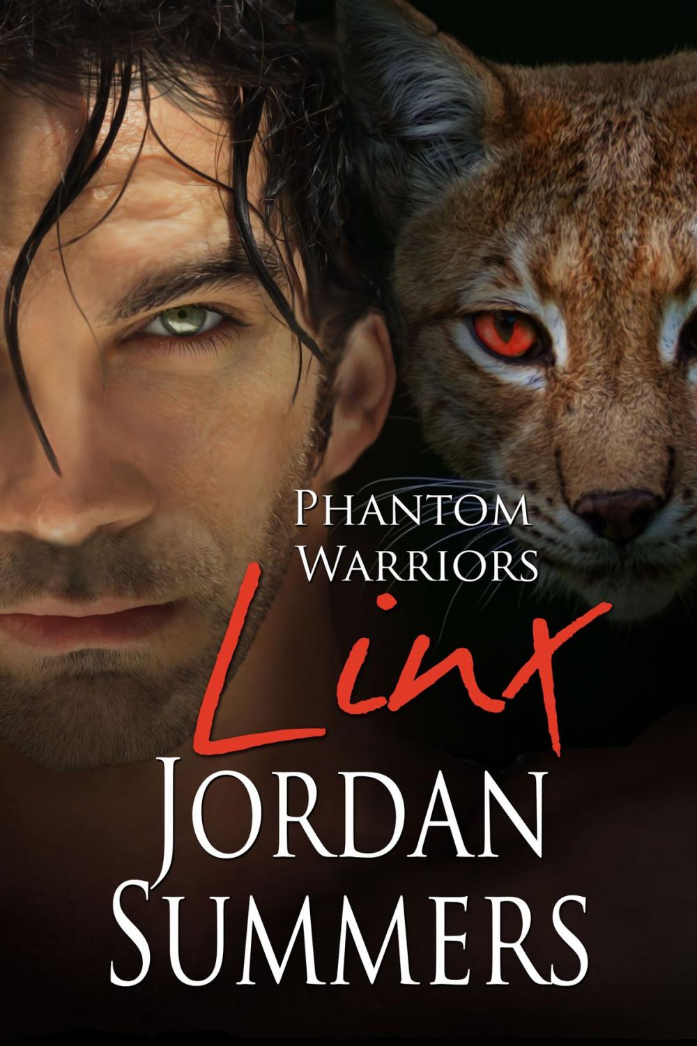 Big bigCover of Phantom Warriors 5: Linx