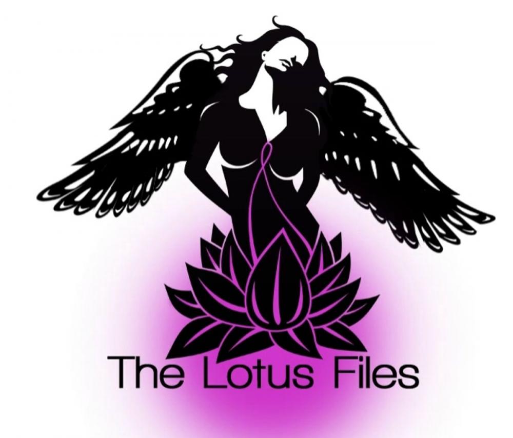 Big bigCover of The Lotus Files