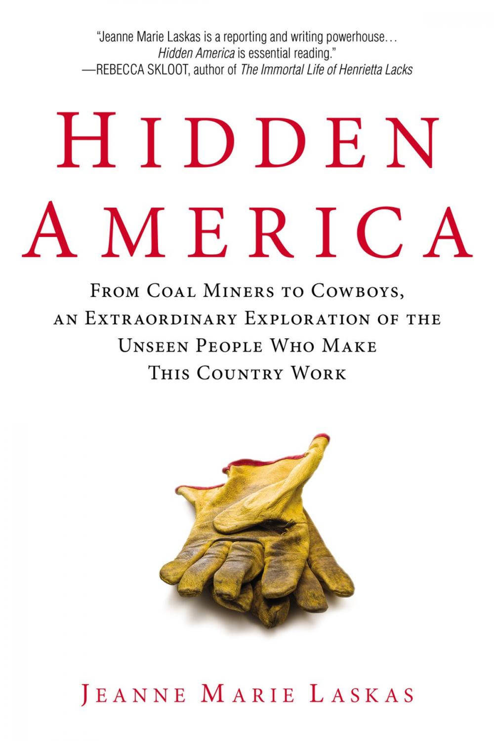 Big bigCover of Hidden America