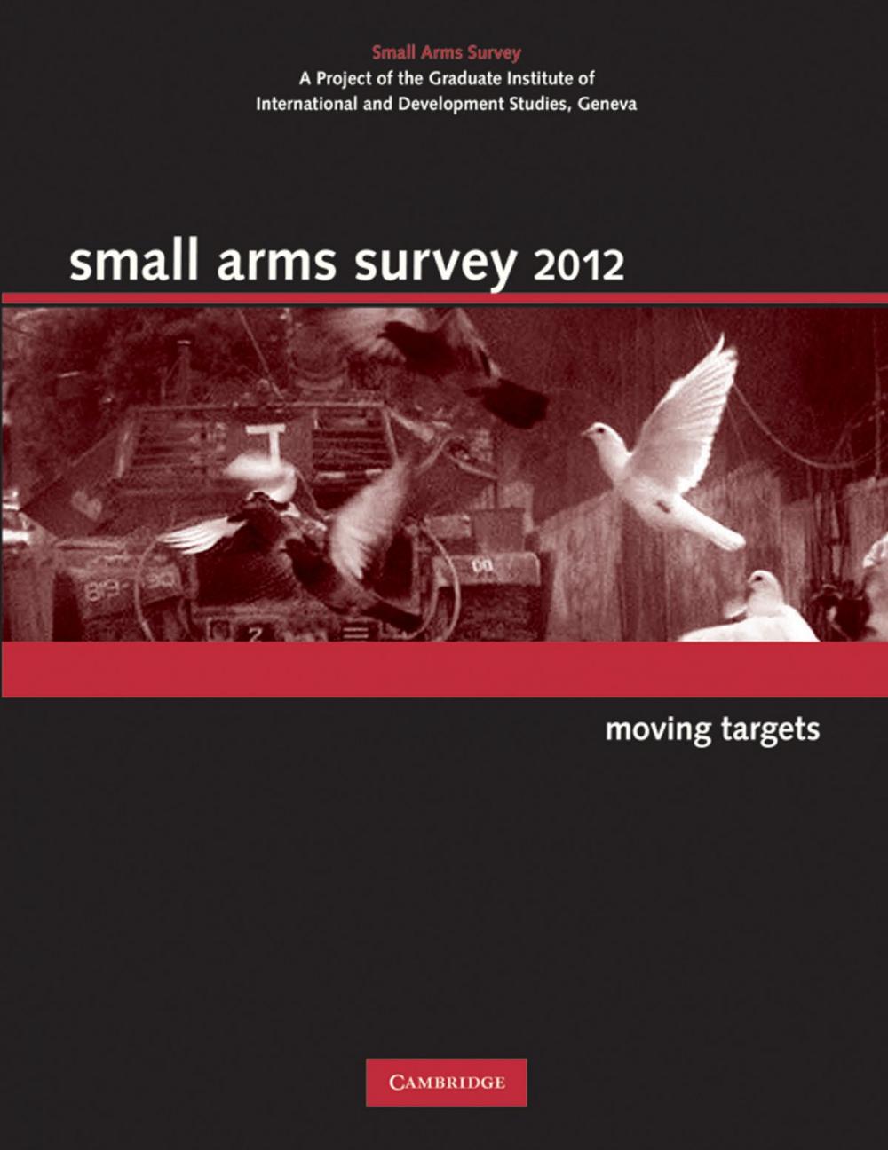 Big bigCover of Small Arms Survey 2012