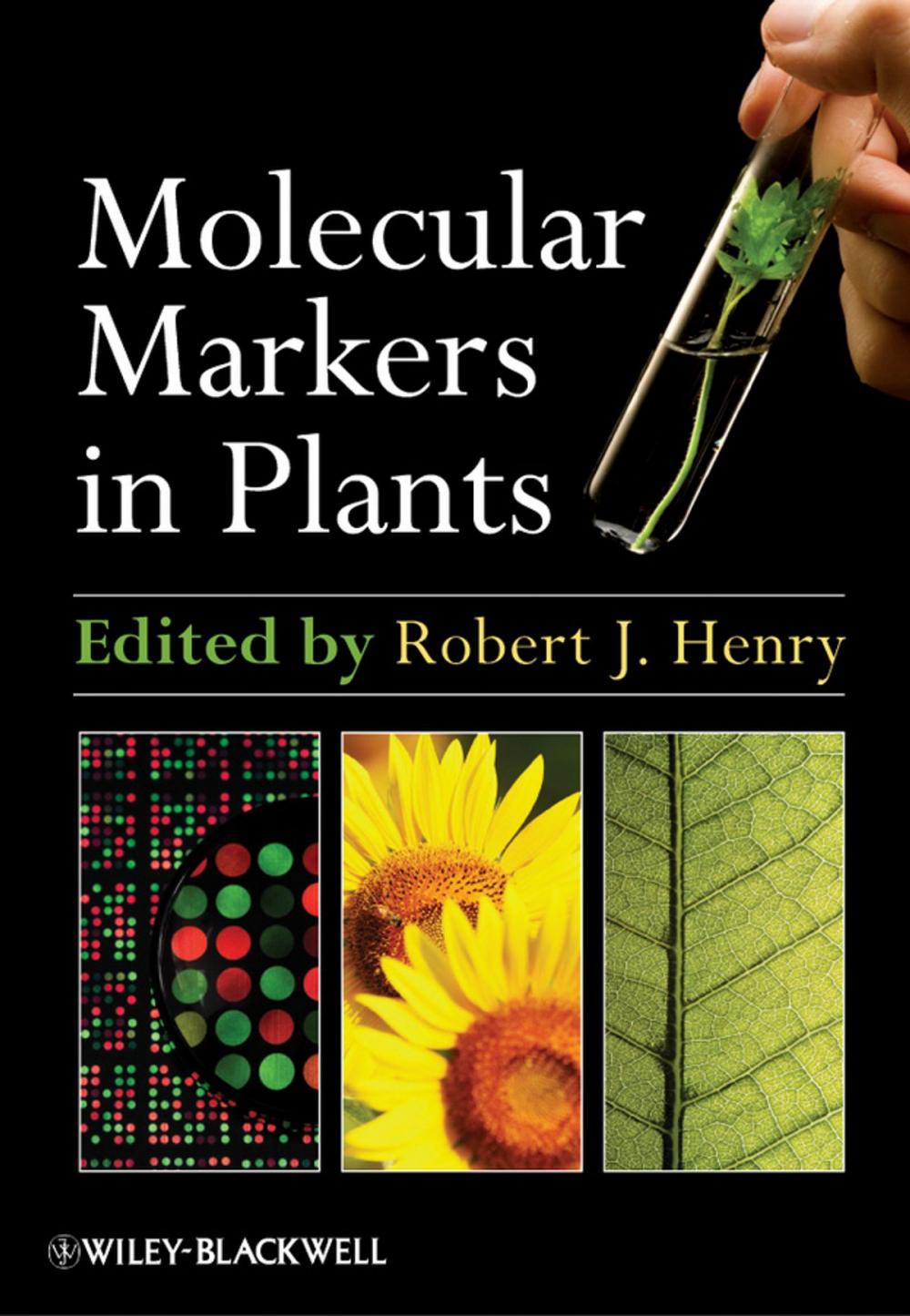 Big bigCover of Molecular Markers in Plants