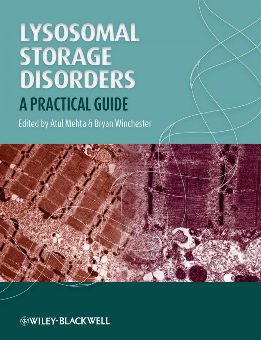 Big bigCover of Lysosomal Storage Disorders