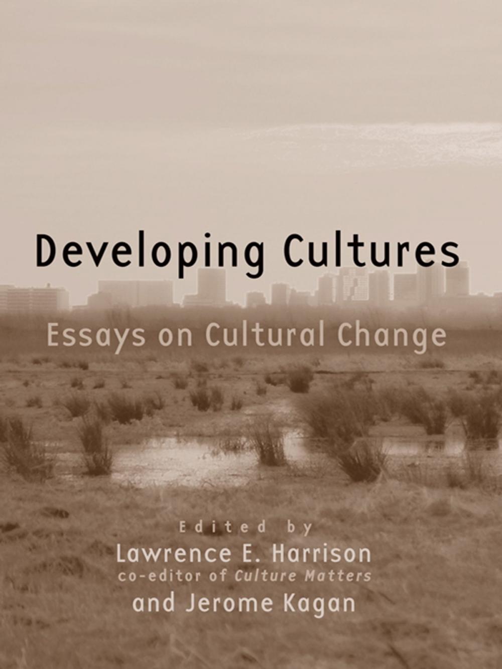 Big bigCover of Developing Cultures