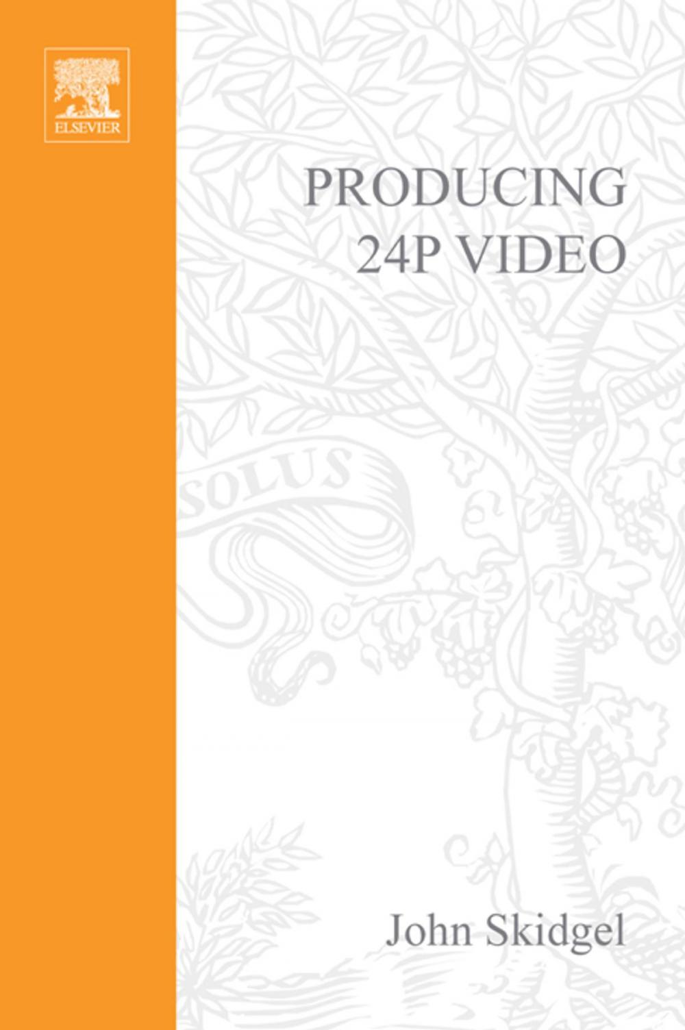 Big bigCover of Producing 24p Video