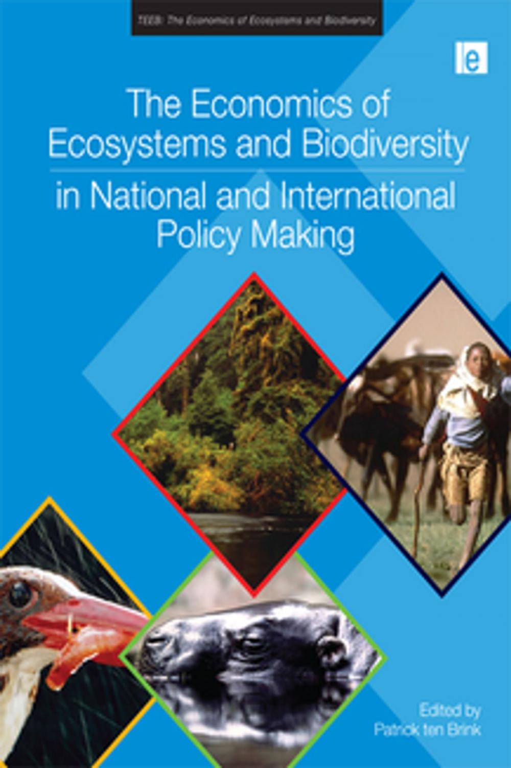 Big bigCover of The Economics of Ecosystems and Biodiversity in National and International Policy Making