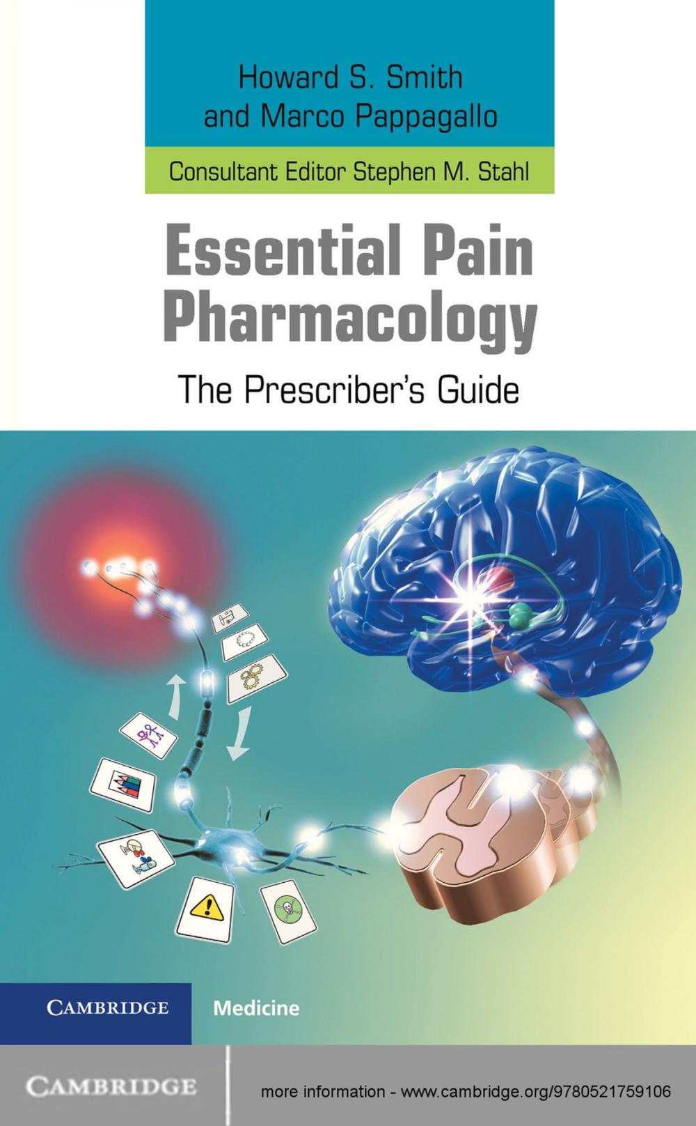 Big bigCover of Essential Pain Pharmacology