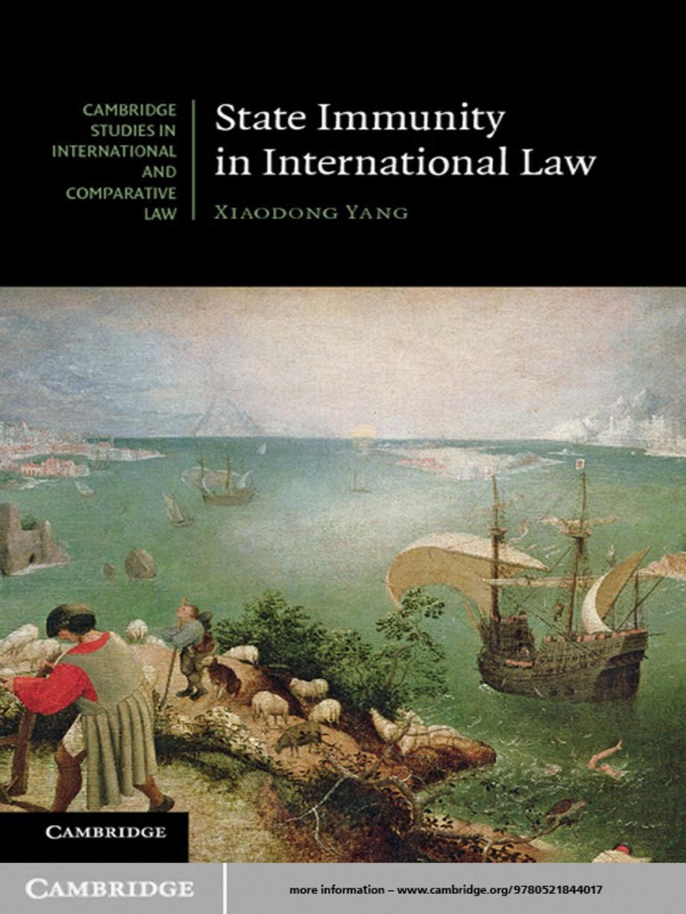 Big bigCover of State Immunity in International Law