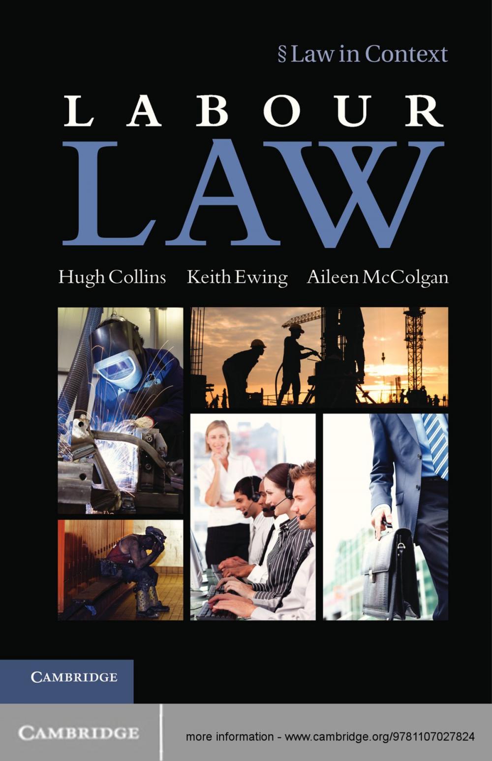 Big bigCover of Labour Law