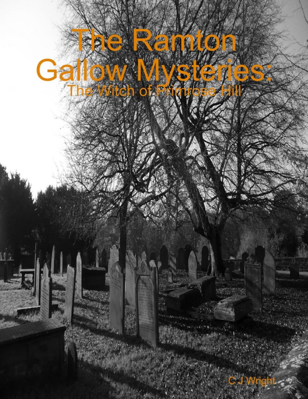 Big bigCover of The Ramton Gallow Mysteries: The Witch of Primrose Hill