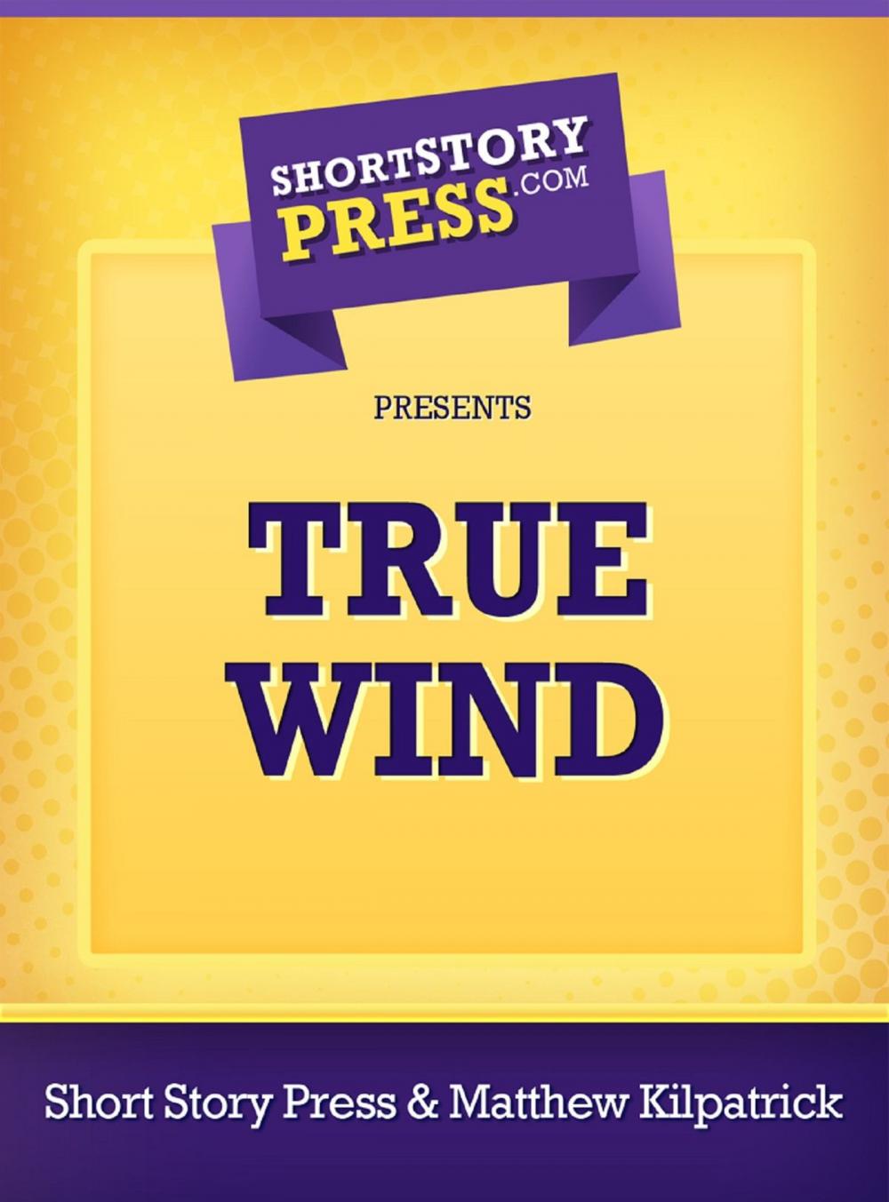 Big bigCover of True Wind