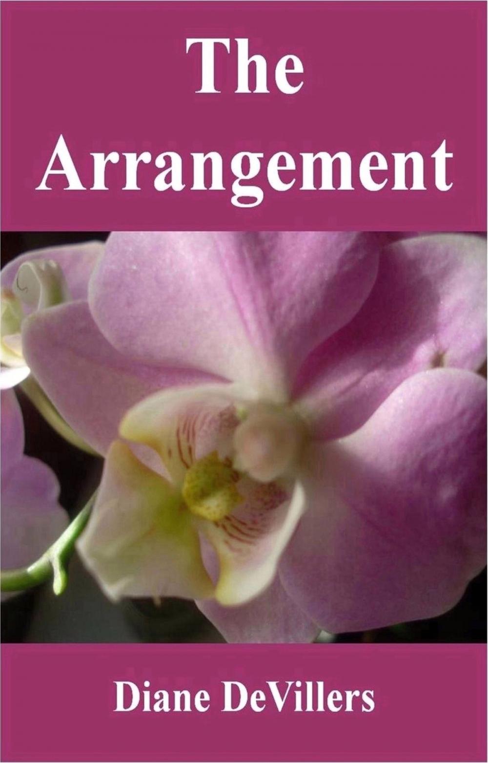 Big bigCover of The Arrangement