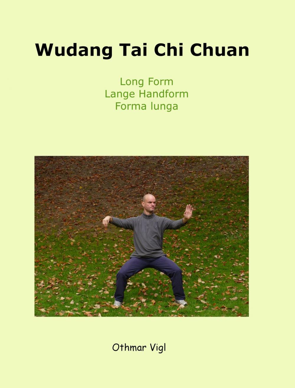 Big bigCover of Wudang Tai Chi Chuan