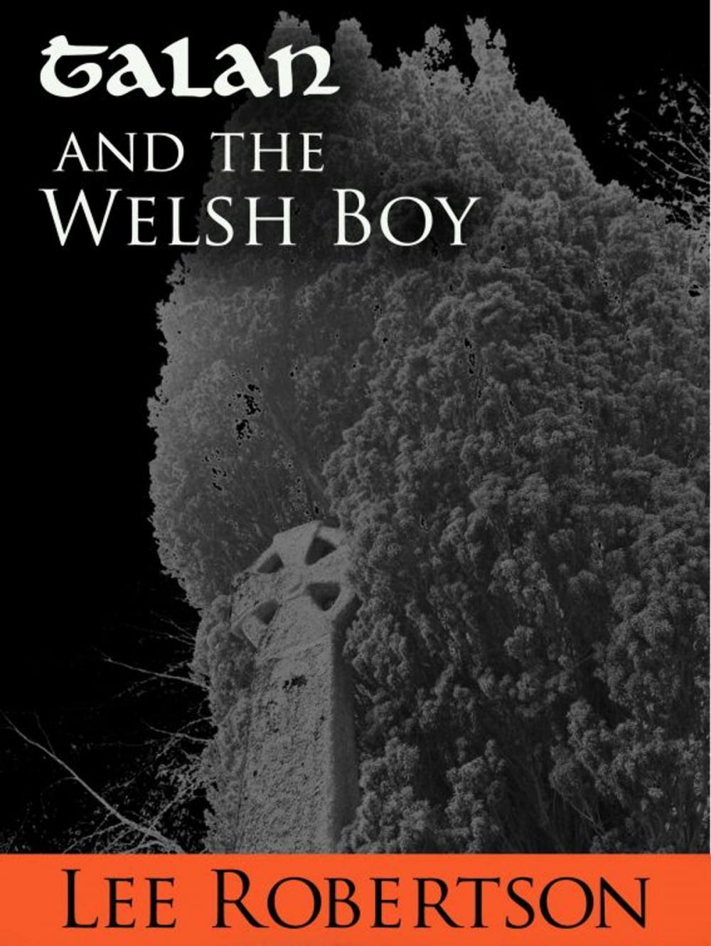 Big bigCover of Talan and the Welsh Boy