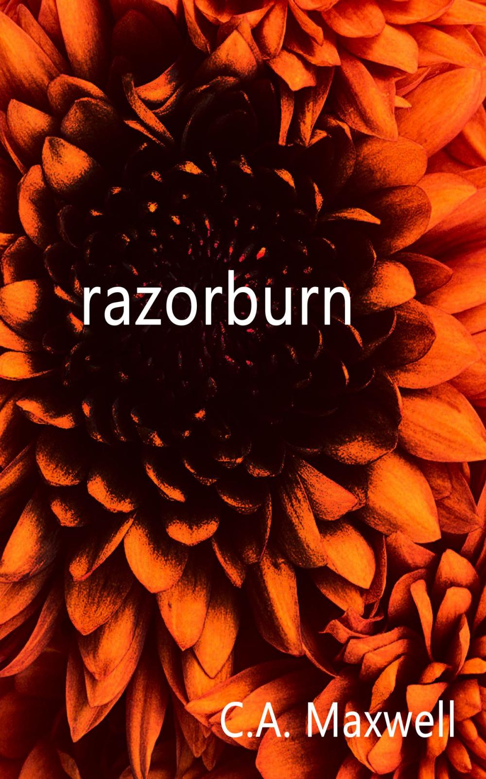 Big bigCover of Razorburn