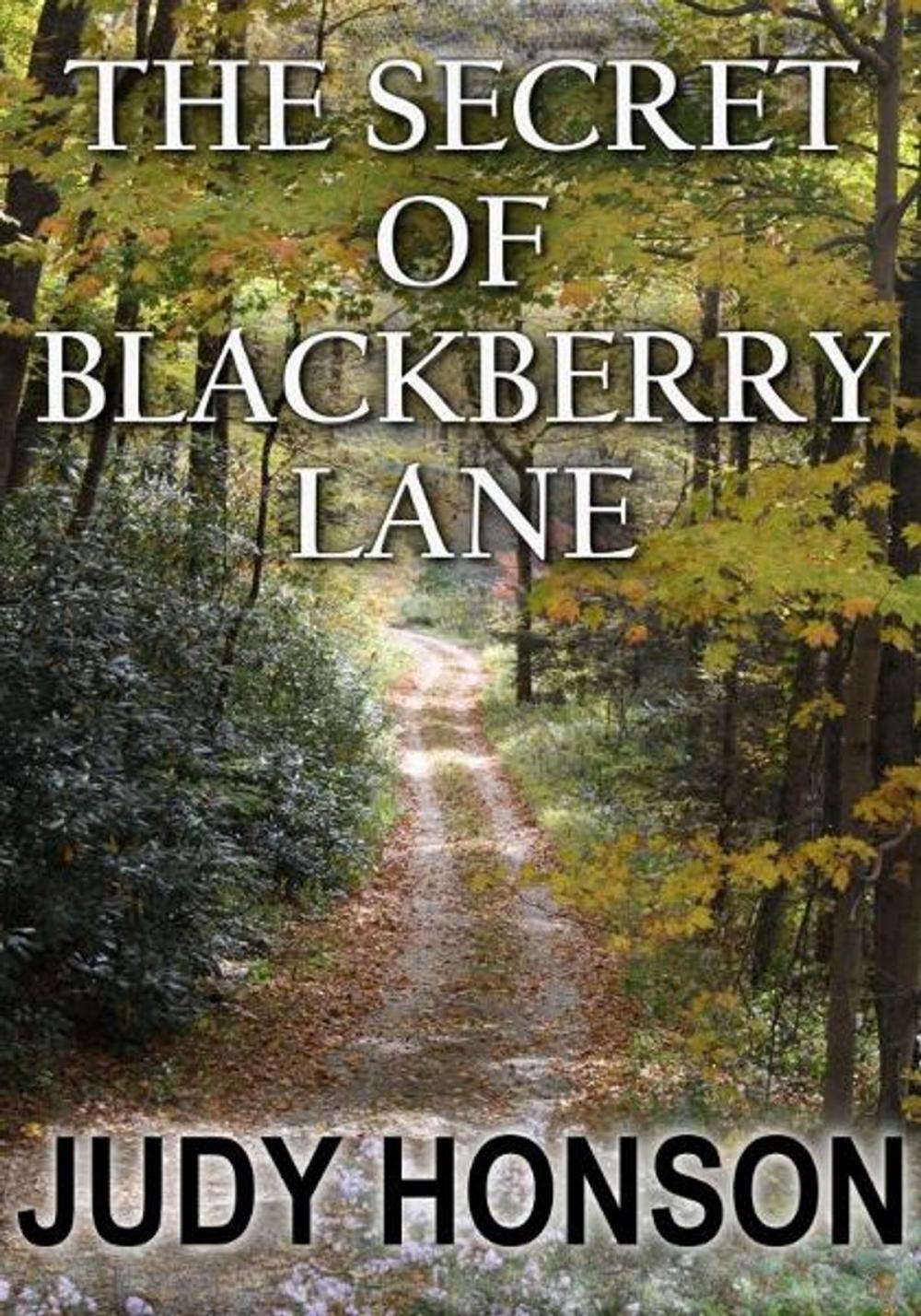 Big bigCover of The Secret of Blackberry Lane