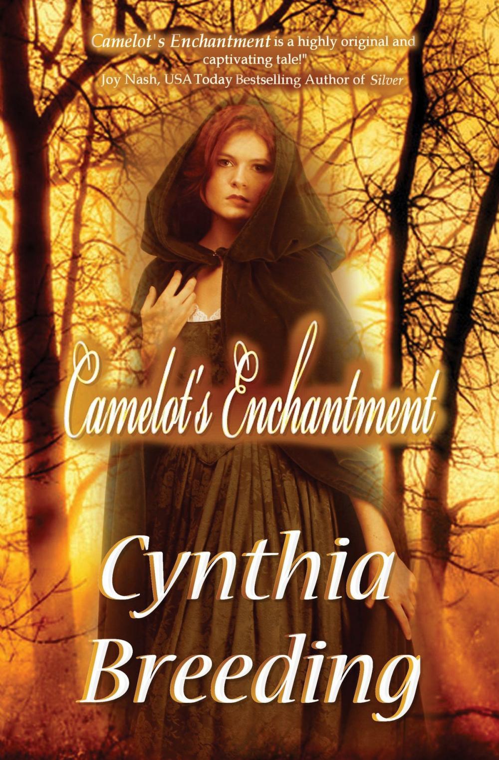 Big bigCover of Camelot's Enchantment