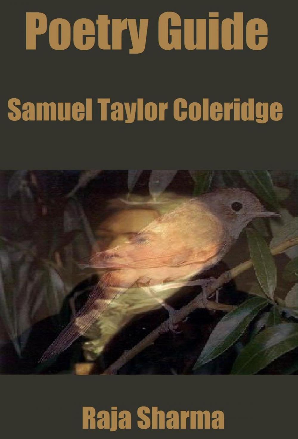 Big bigCover of Poetry Guide: Samuel Taylor Coleridge