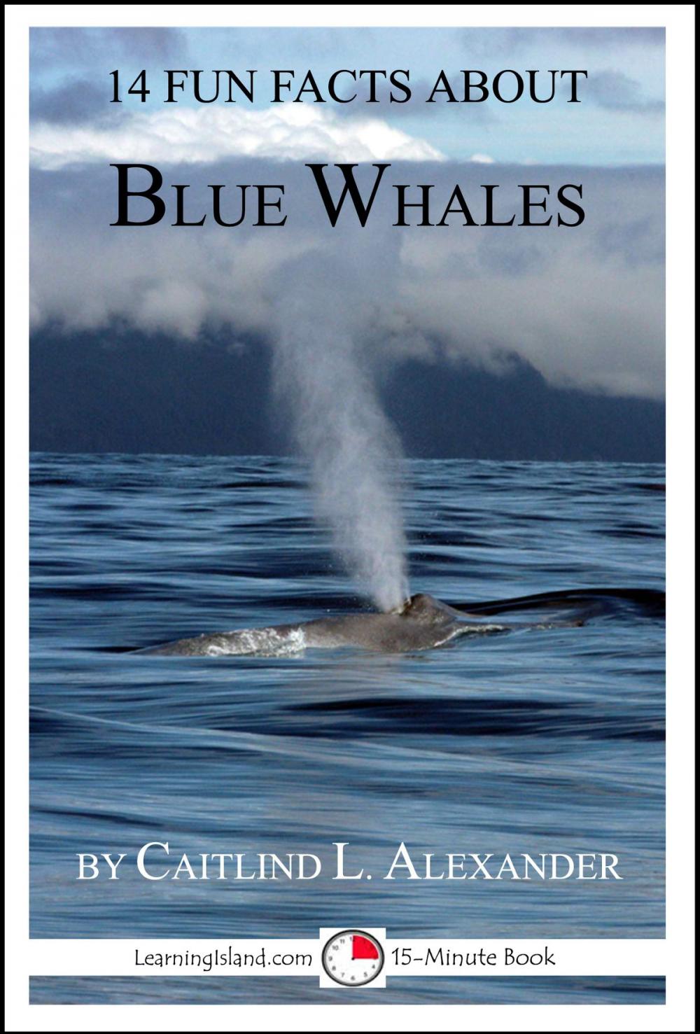 Big bigCover of 14 Fun Facts About Blue Whales: A 15-Minute Book