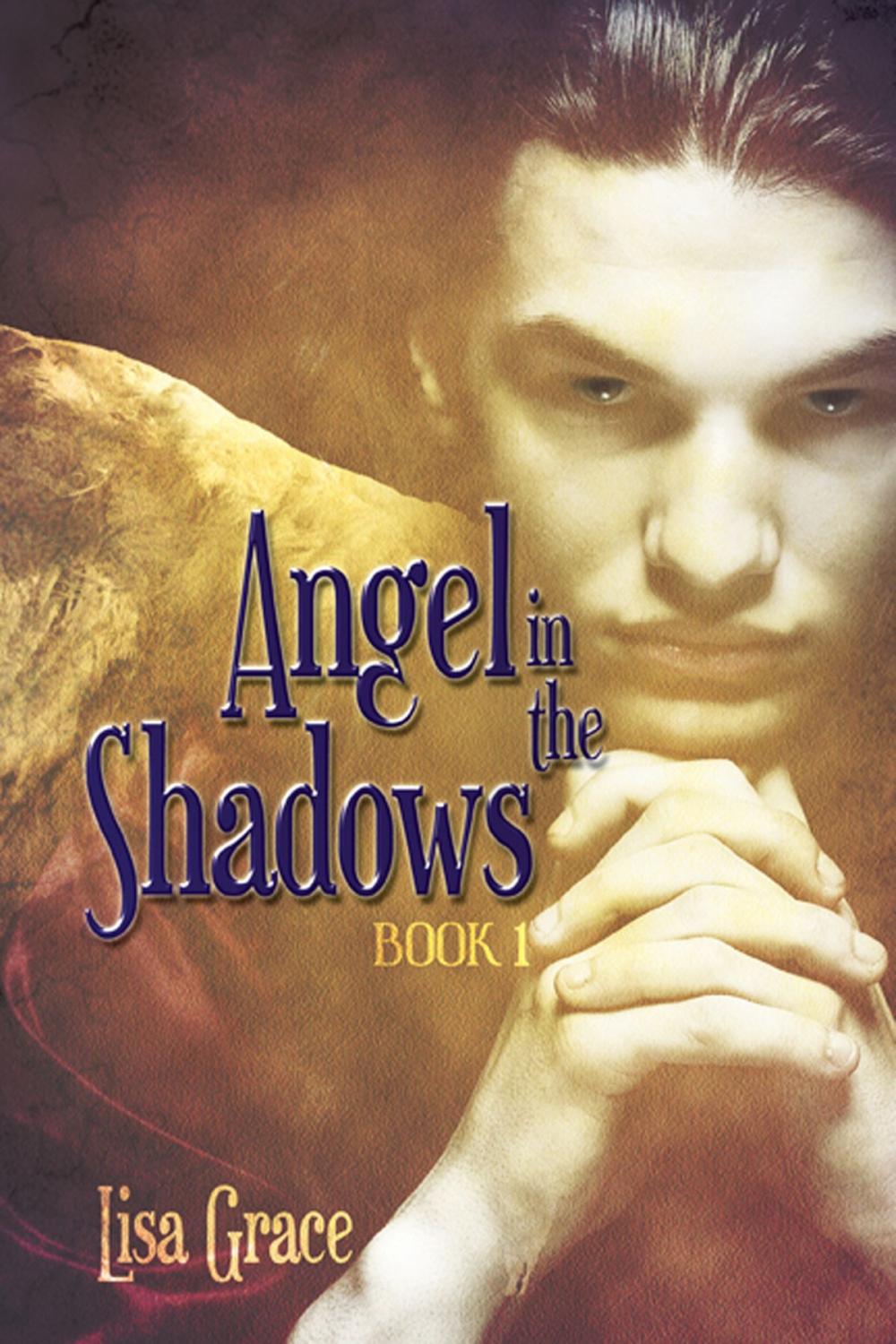 Big bigCover of Angel in the Shadows, Book 1 by Lisa Grace (Angel Series)