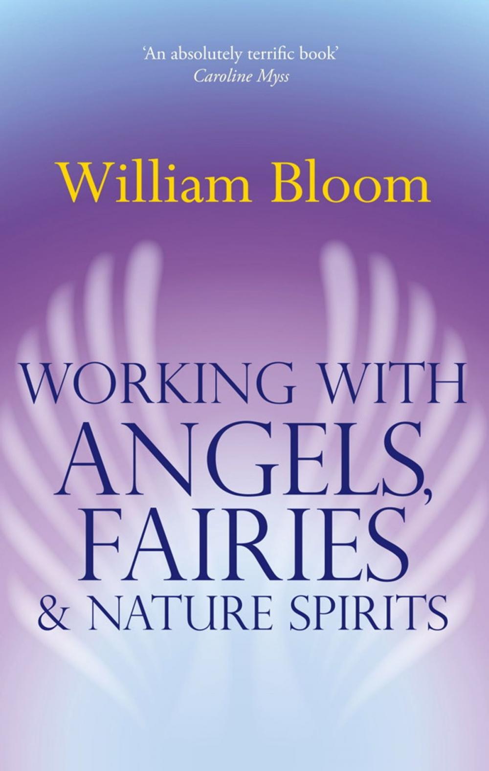 Big bigCover of Working With Angels, Fairies And Nature Spirits