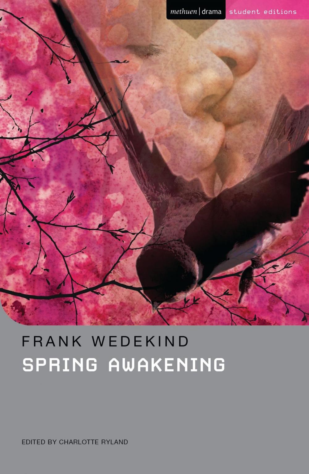 Big bigCover of Spring Awakening