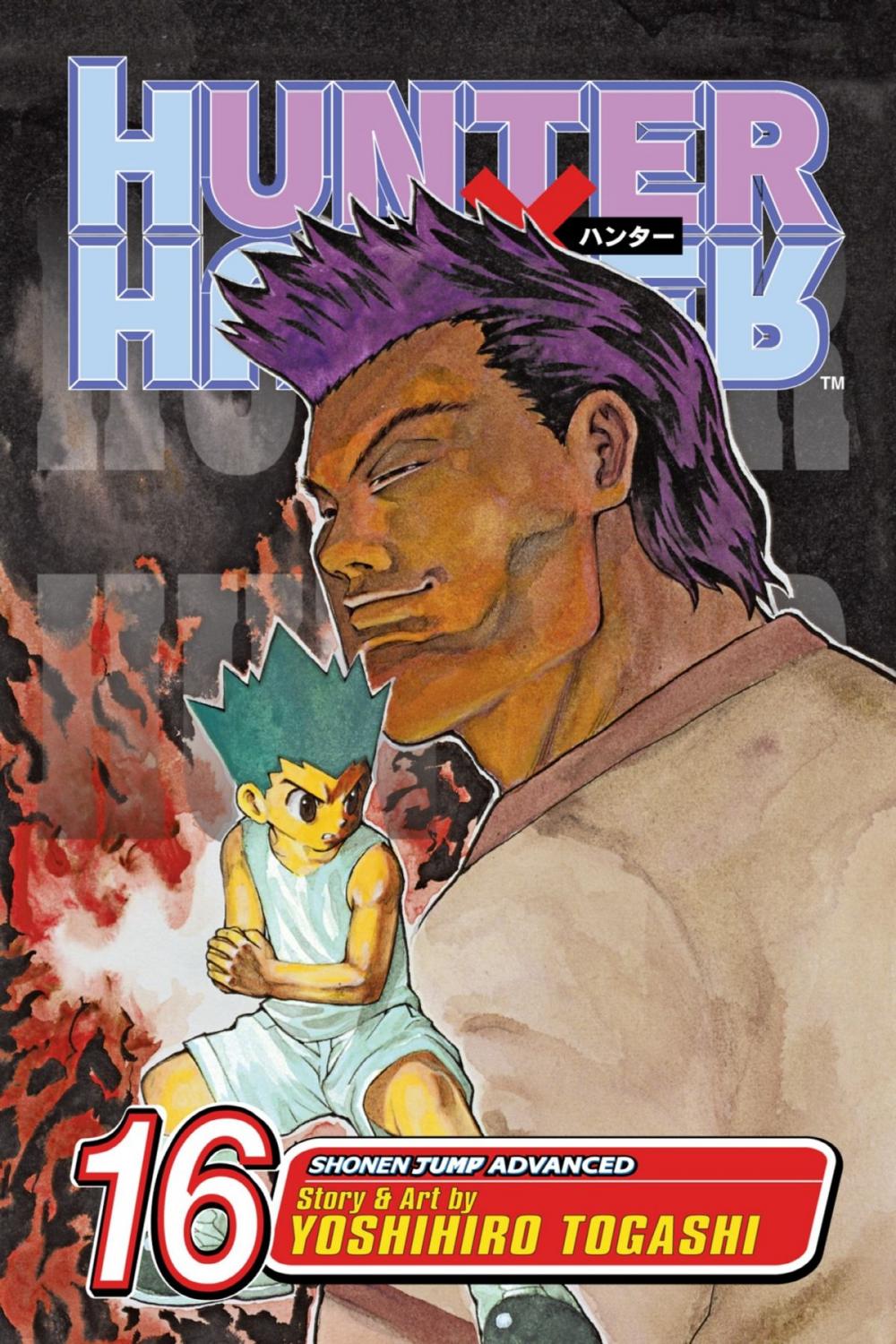 Big bigCover of Hunter x Hunter, Vol. 16