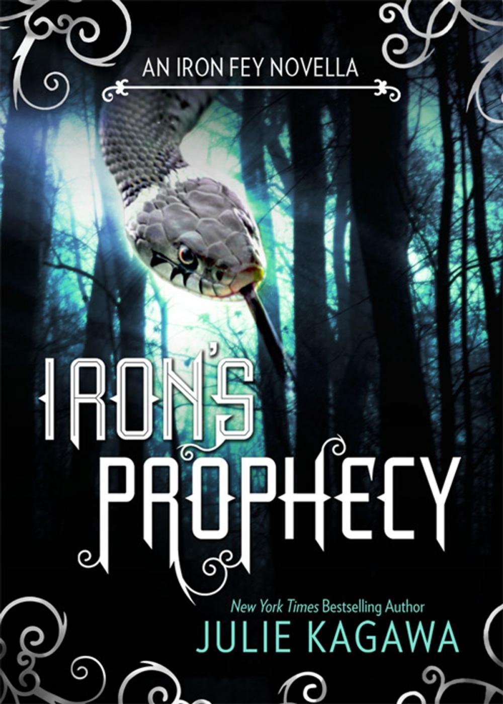 Big bigCover of Iron's Prophecy