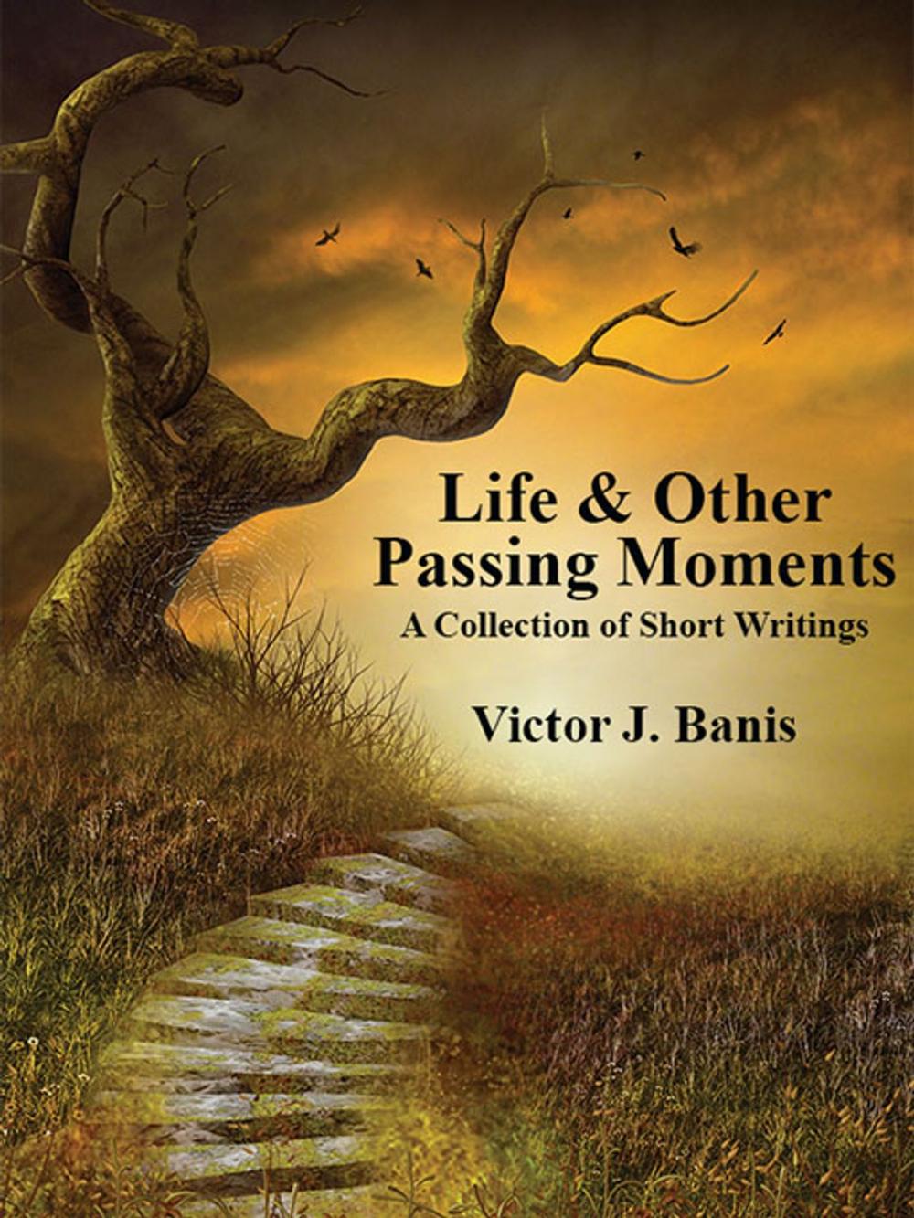 Big bigCover of Life & Other Passing Moments