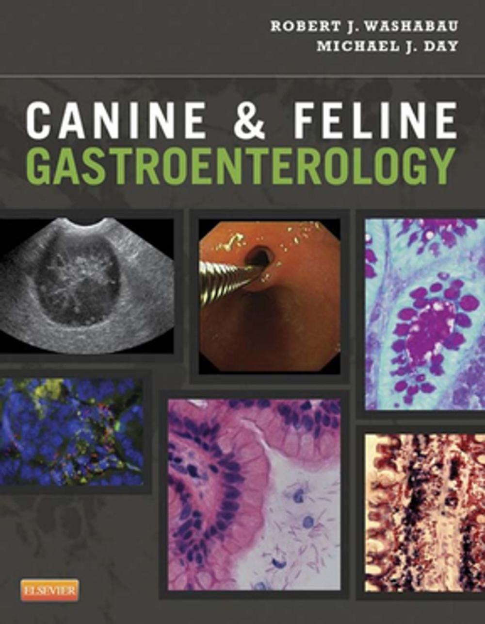 Big bigCover of Canine and Feline Gastroenterology - E-Book