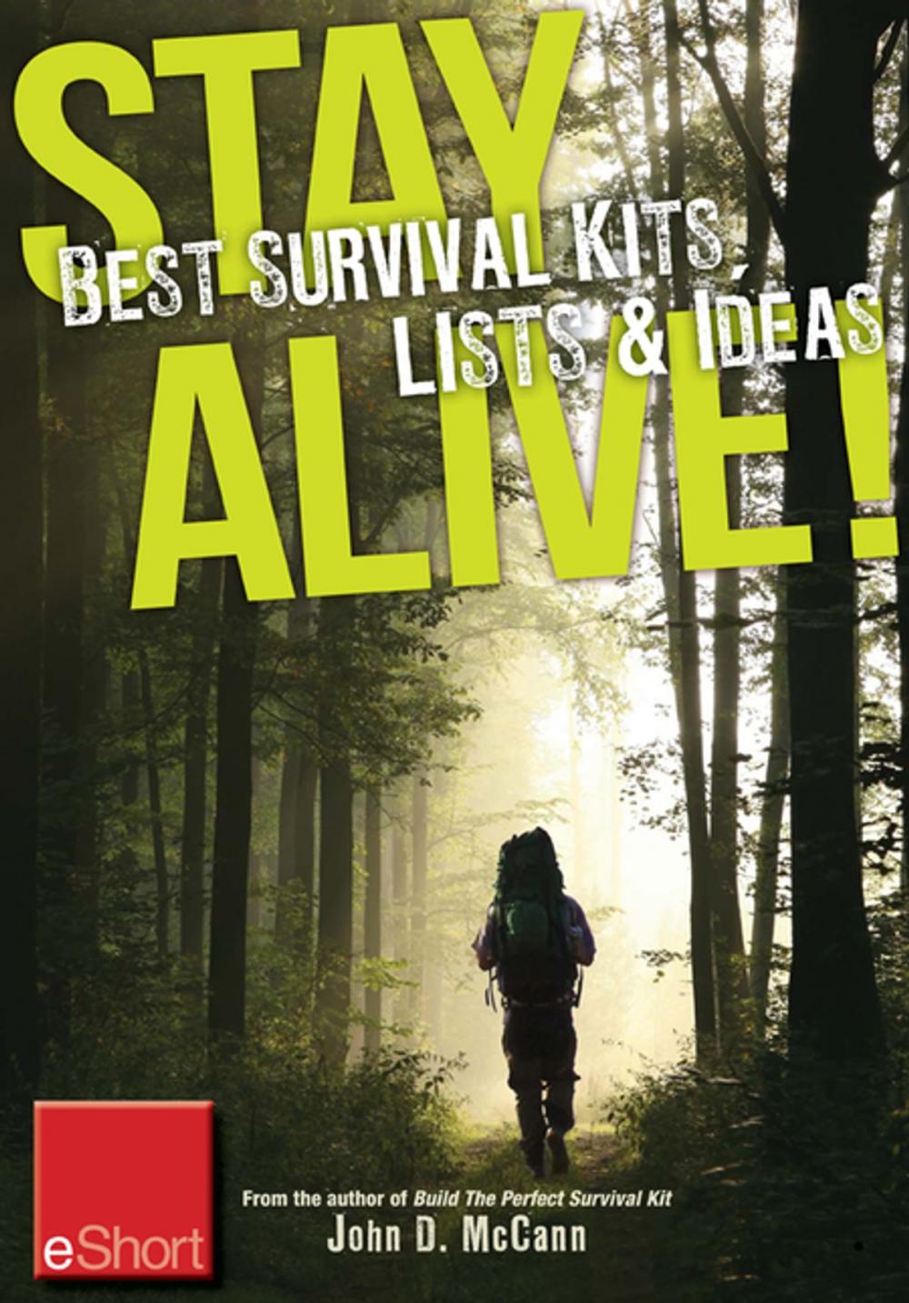 Big bigCover of Stay Alive - Best Survival Kits, Lists & Ideas eShort