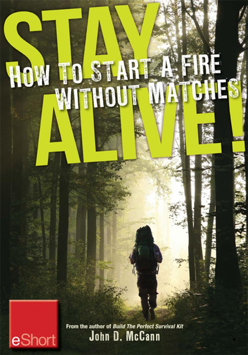 Big bigCover of Stay Alive - How to Start a Fire without Matches eShort