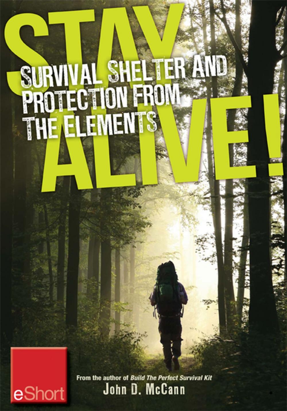 Big bigCover of Stay Alive - Survival Shelter and Protection from the Elements eShort