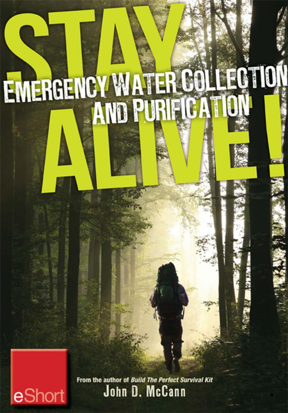 Big bigCover of Stay Alive - Emergency Water Collection and Purification eShort