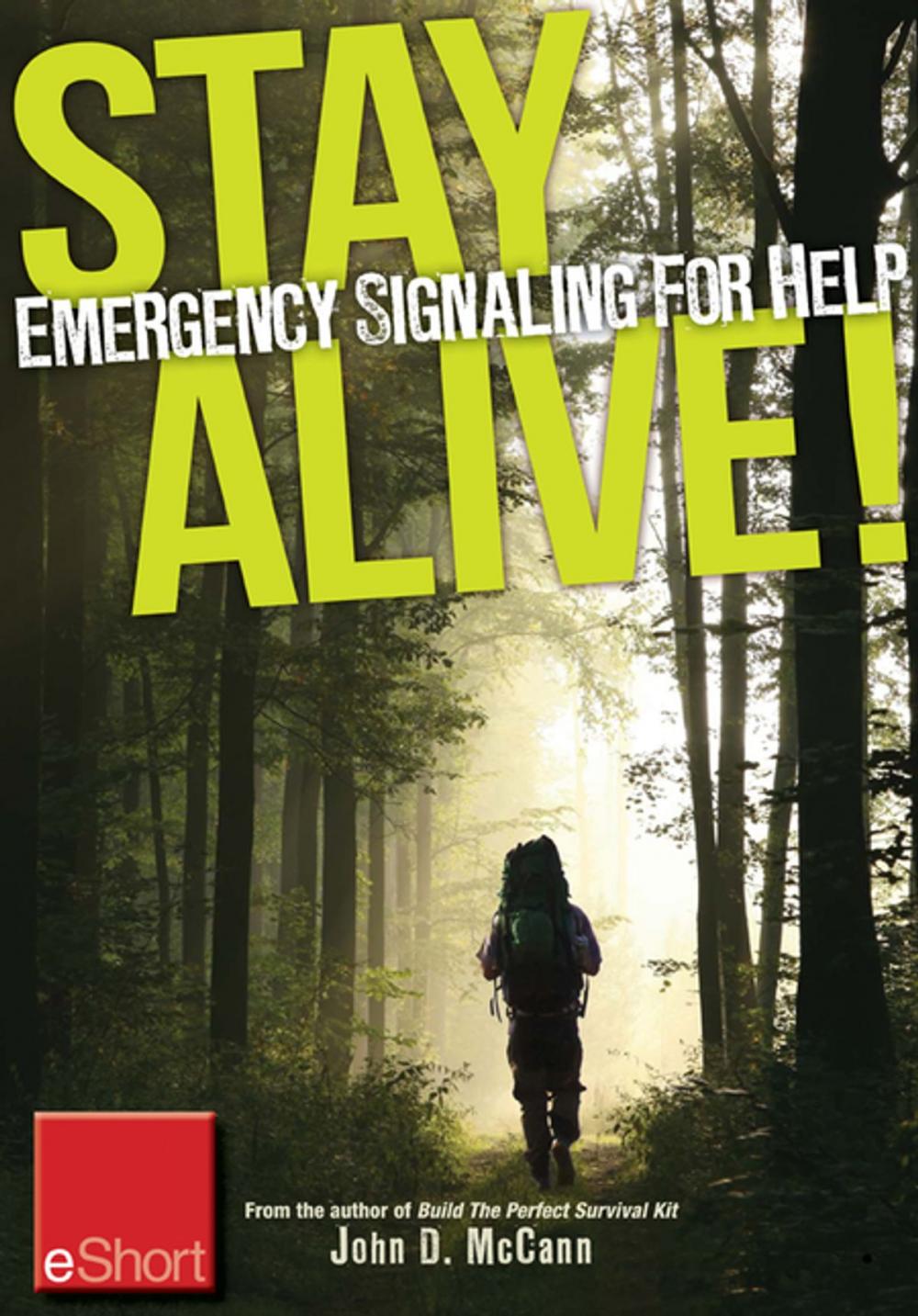 Big bigCover of Stay Alive - Emergency Signaling for Help eShort