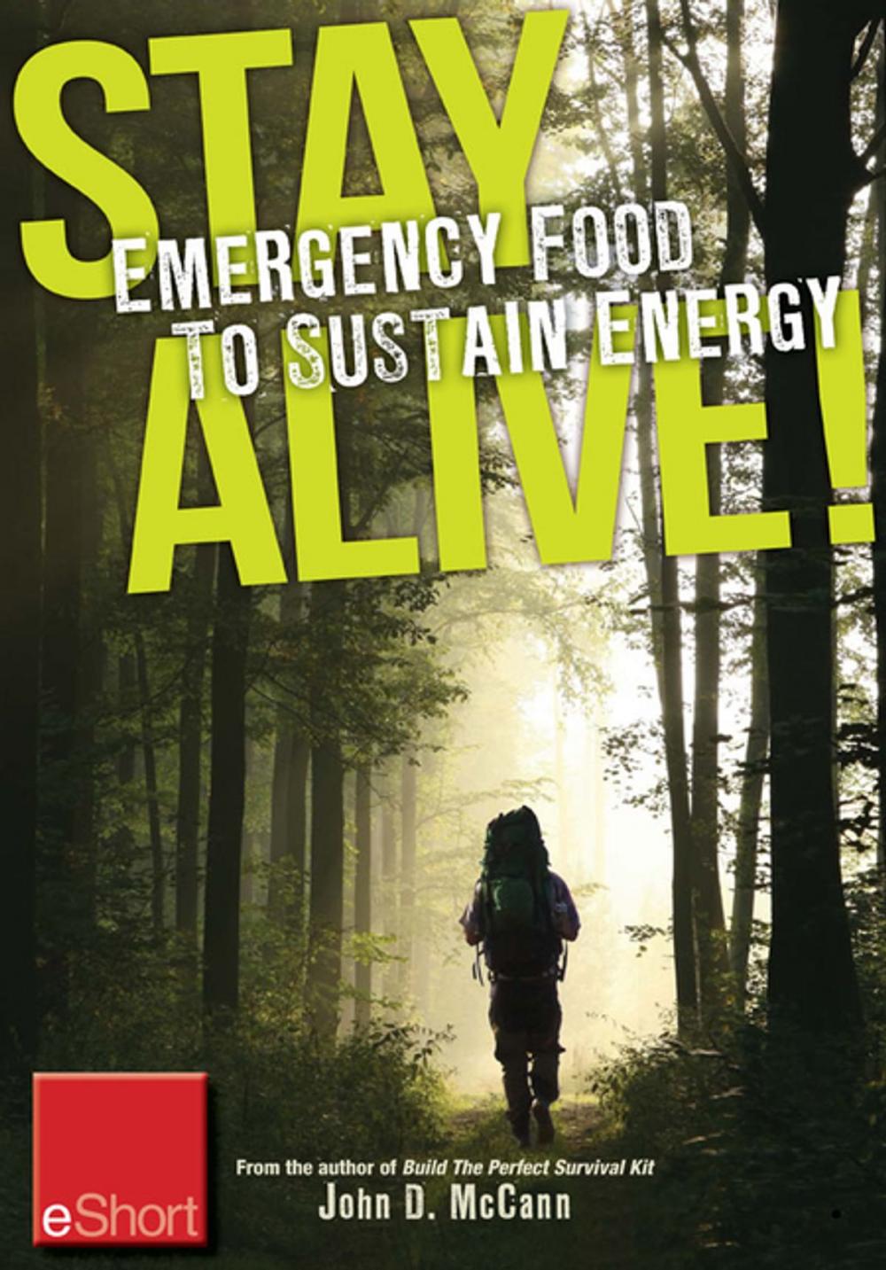 Big bigCover of Stay Alive - Emergency Food to Sustain Energy eShort