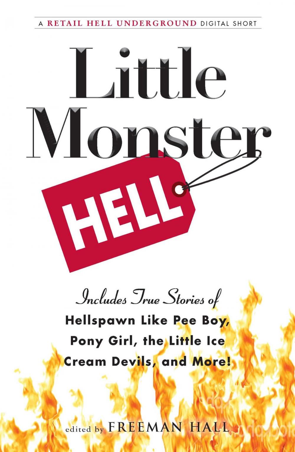 Big bigCover of Little Monster Hell