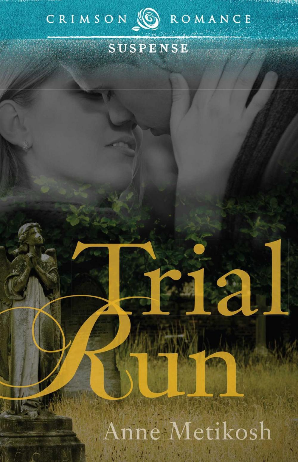 Big bigCover of Trial Run