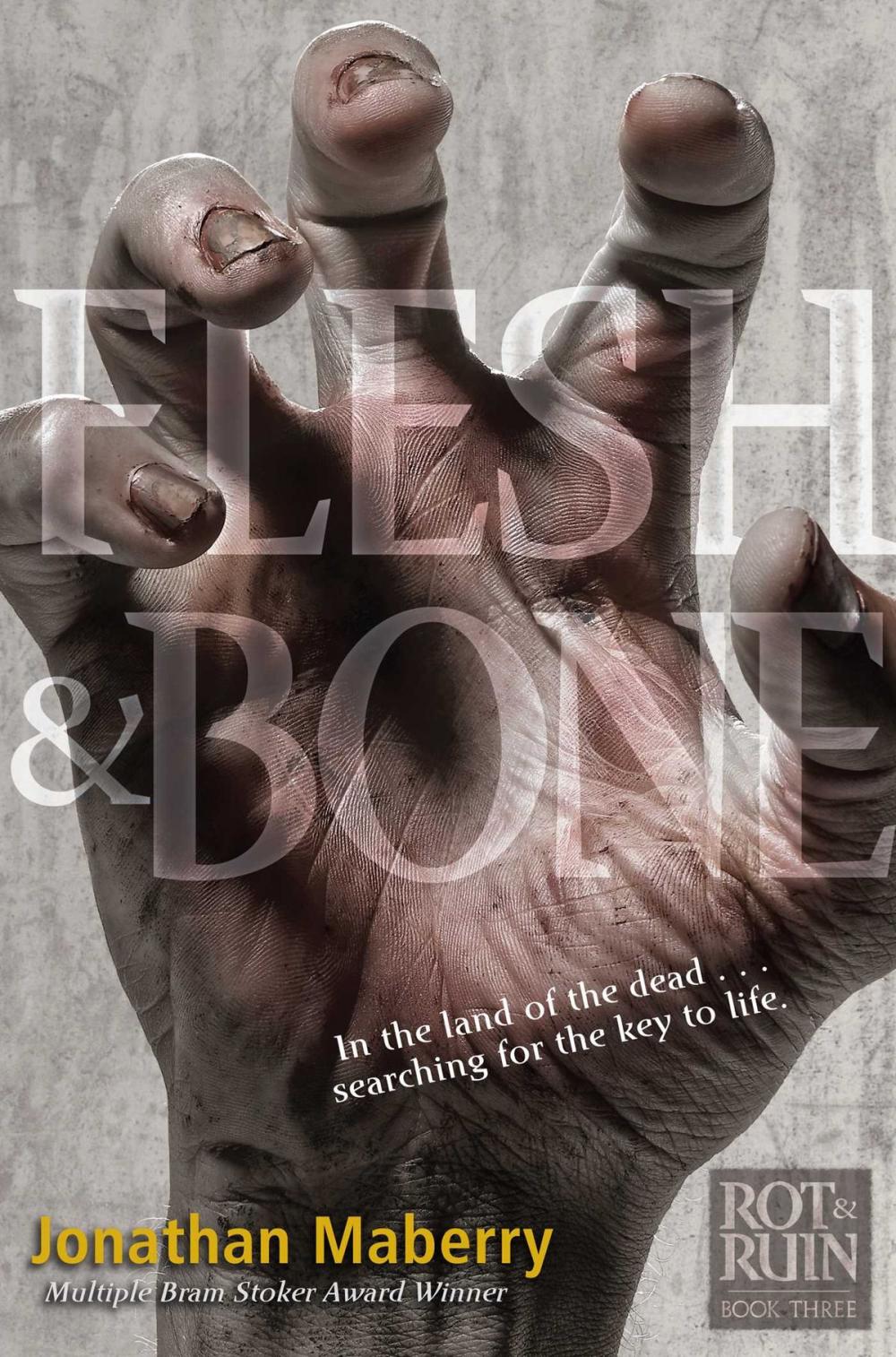 Big bigCover of Flesh & Bone