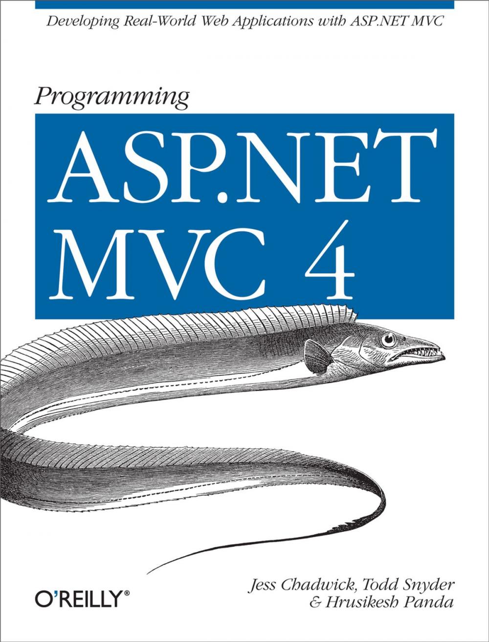 Big bigCover of Programming ASP.NET MVC 4