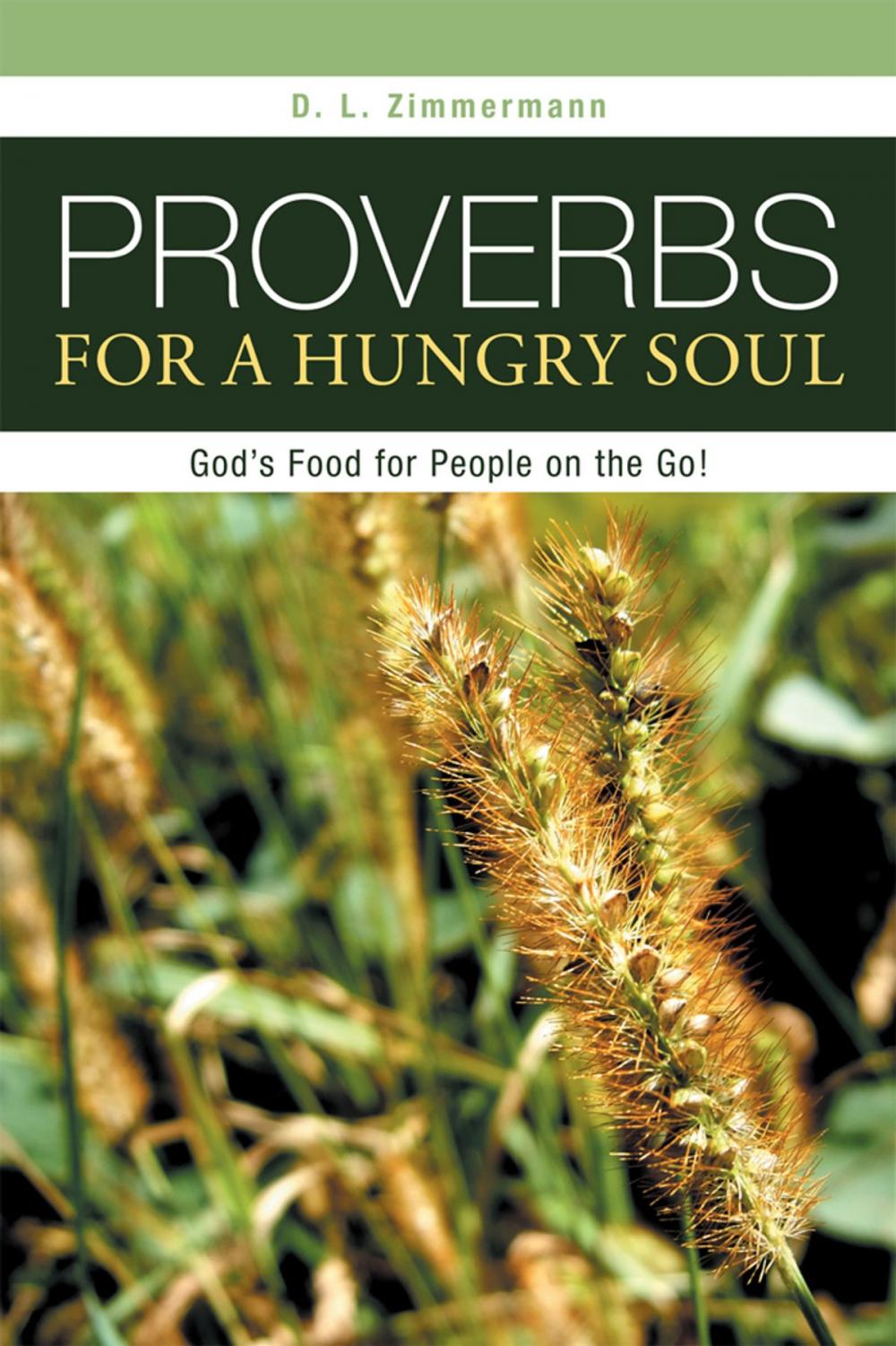 Big bigCover of Proverbs for a Hungry Soul