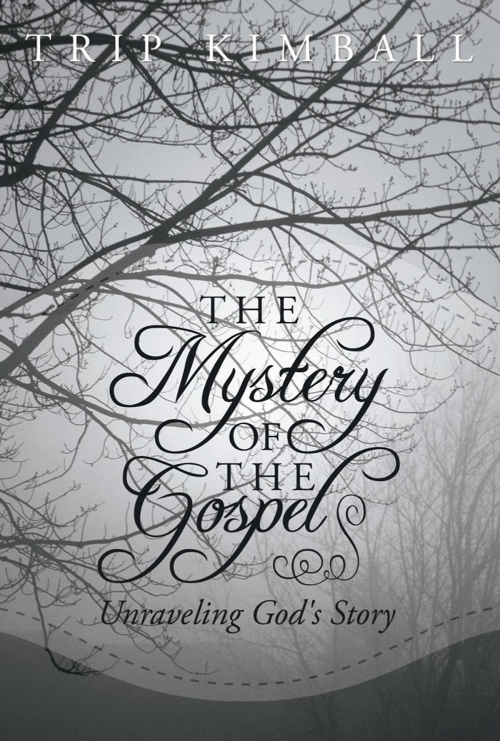 Big bigCover of The Mystery of the Gospel