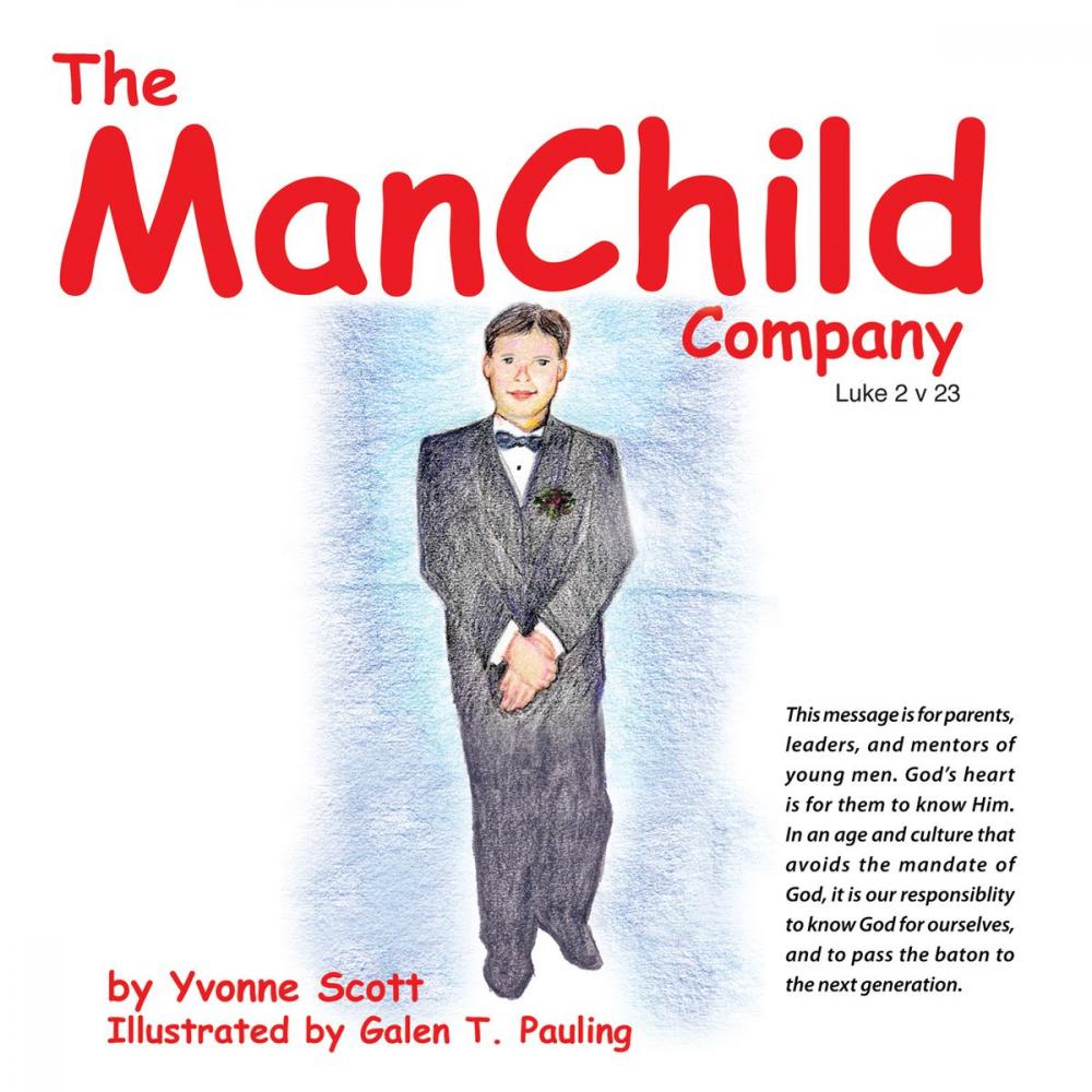 Big bigCover of The Manchild Company