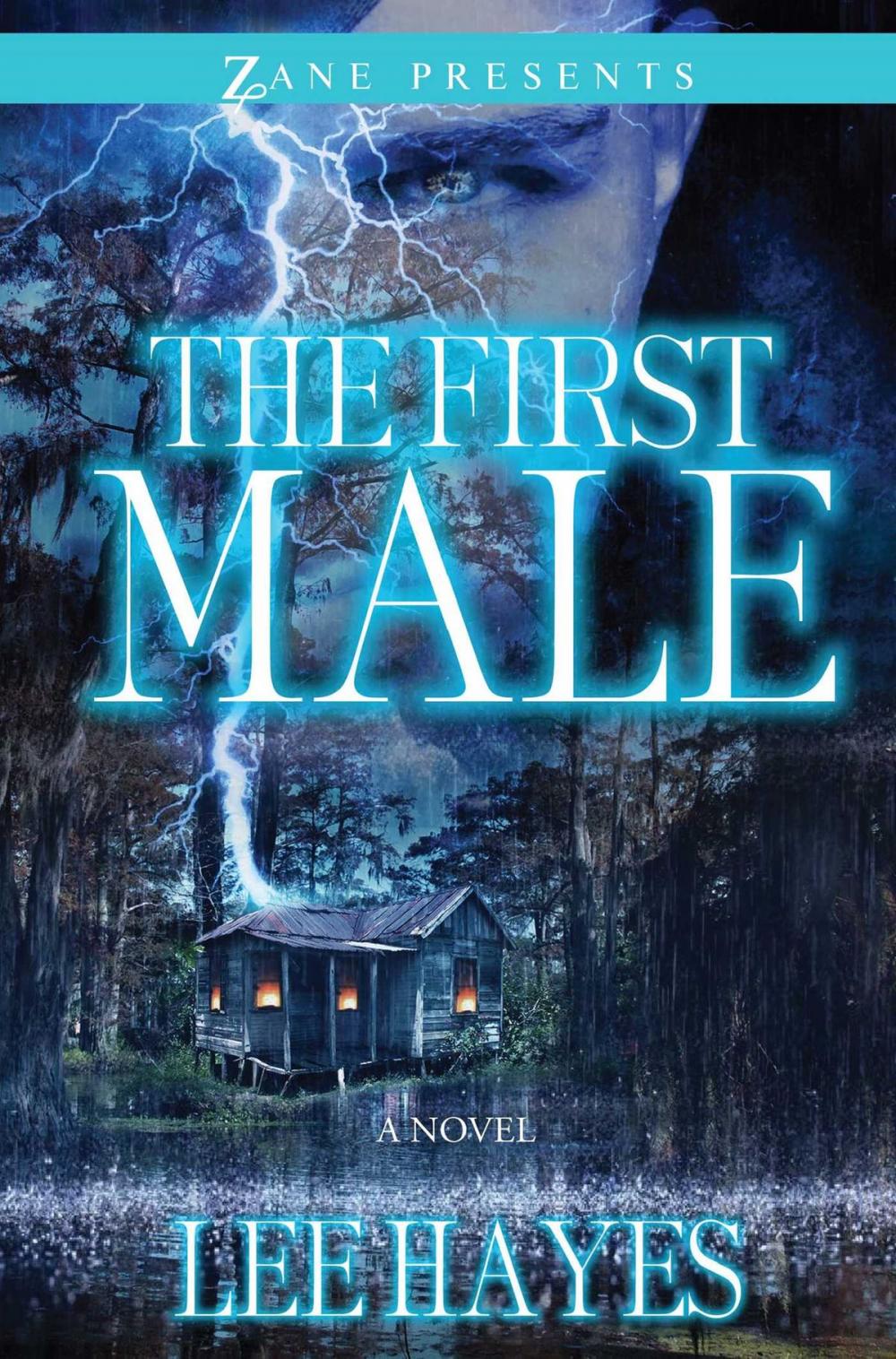 Big bigCover of The First Male